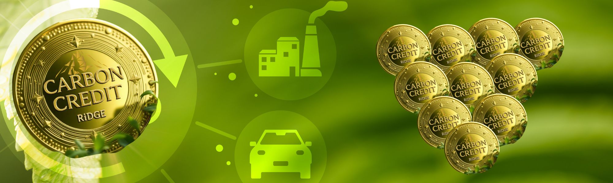 Visual Bonos de Carbono